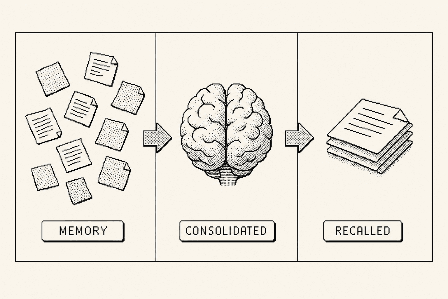 Remember, consolidate, recall